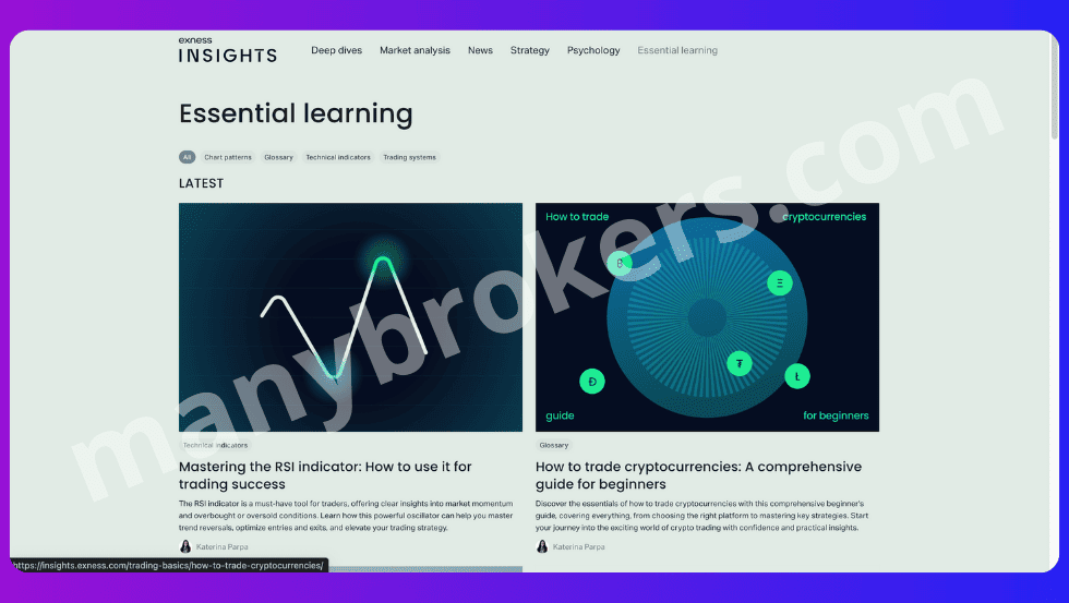 Образовательная студия Exness insights